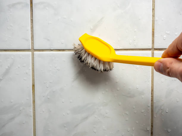 Water Damage Restoration in Muleshoe, TX