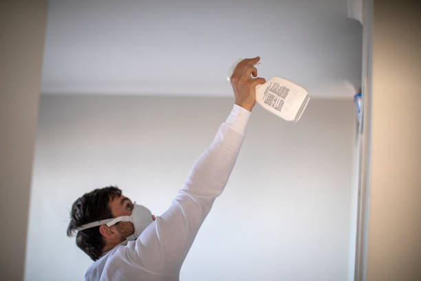 Best Affordable Mold Removal  in Muleshoe, TX